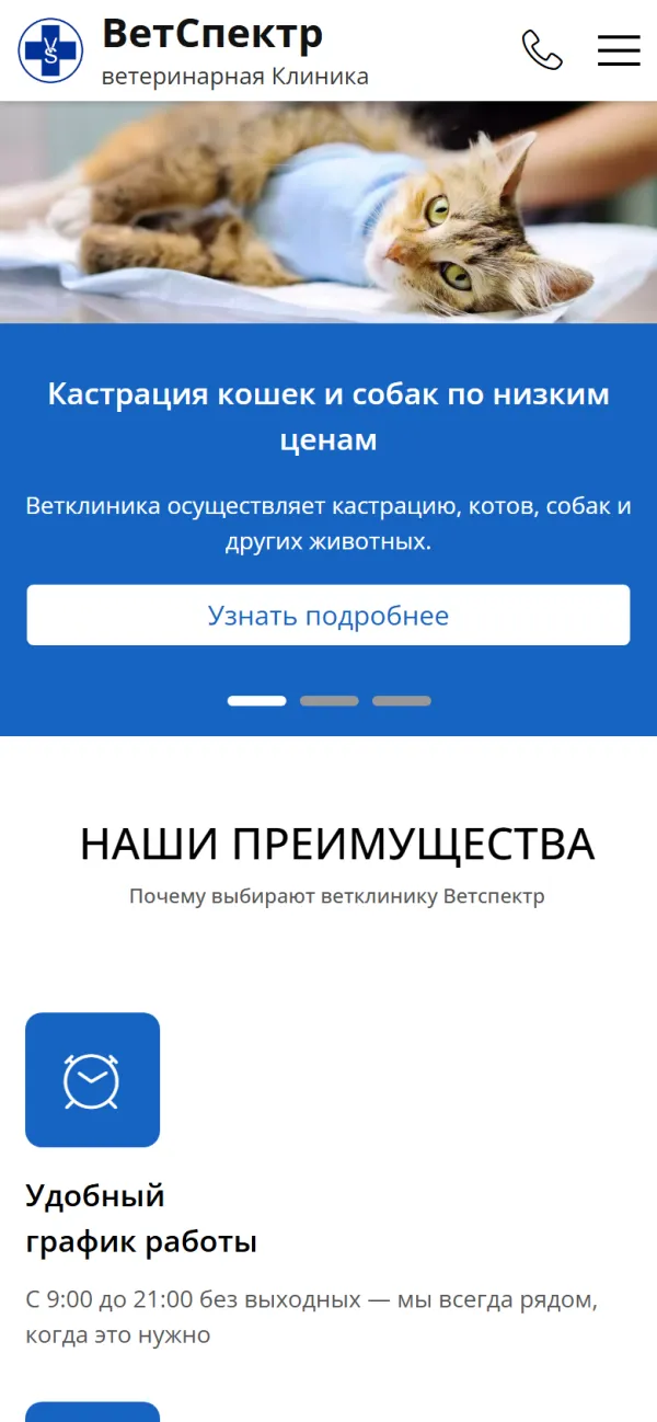 Мобильная версия сайта ВетСпектр